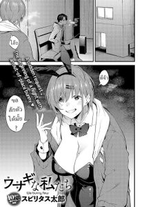กระต่าย