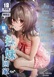 สาวแมว… ขอโม๊กควย