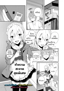 ทำความสะอาดสุดพิเศษ