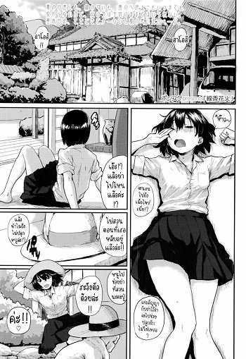ดอกไม้ไฟระยิบระยับ ดอกไม้ไฟระยิบระยับ